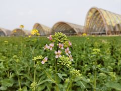 -中国天府农业博览园