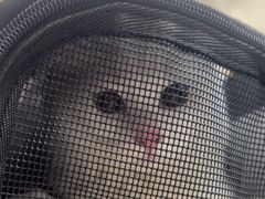 -联合动物医院(光谷诊疗中心)