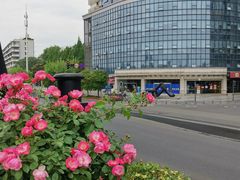 -武汉关码头(轮渡站)