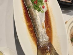 -西湖春天•老字号杭州菜(百汇店)