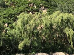 -碓臼峪自然风景区