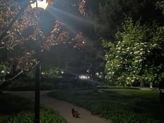 -玲珑塔公园