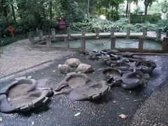 -成都市活水公园