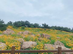 -青岛银沙滩