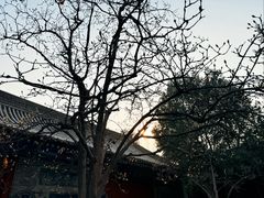 -万寿八仙宫