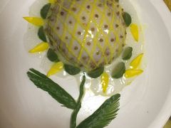 -丁老爷子苏香圆