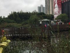 景点-苏州河梦清园环保主题公园