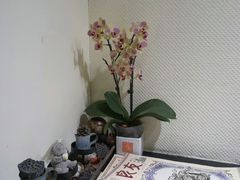 -良友书坊(安徽路店)