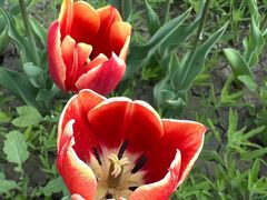 -长春公园(普阳街道)