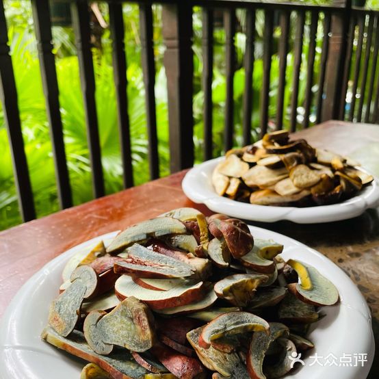 臻菌缘