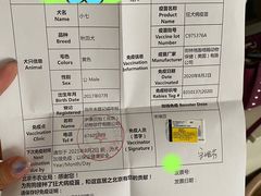 -宠颐生中康贝怡动物医院