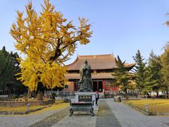 -苏州文庙(姑苏区)