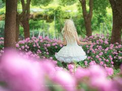 -上海滨江森林公园