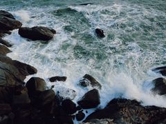 -广东惠东海龟国家级自然保护区