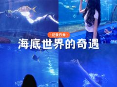 -重庆欢乐海底世界