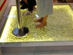 -狐狸和向日葵(北京路店)