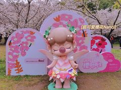 -苏州上方山国家森林公园