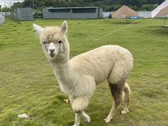 -宁波冰雪大世界(北仑区)