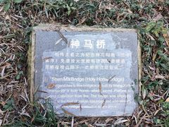 -鲁镇