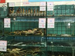水产区-海岛渔村大酒店(云霄路店)