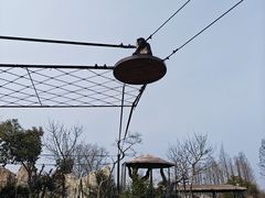 -上海野生动物园