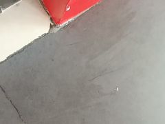 -十渡高山漂流