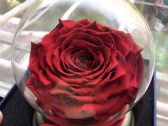 -BEAST野兽派(上海浦东嘉里城店)