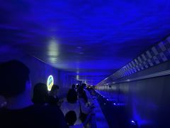 -白鹤梁水下博物馆