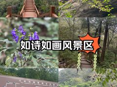 -大岭沟猕猴桃谷风景区