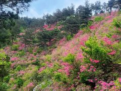 -木兰云雾山