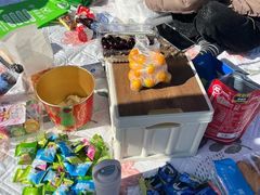 -春花秋色城市公园