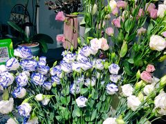 -何兮花店·气球派对鲜花店(马桥银春路万科城店)