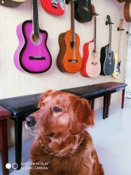 -明·就说好美发店