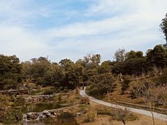 -东莞植物园