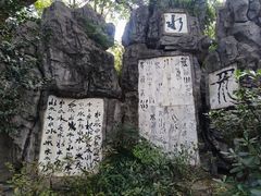 -白沙古井