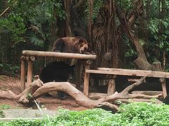 -广州长隆野生动物世界