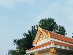 -洛阳白马寺