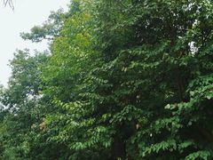 -终南山南五台景区