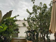-悦哉·派对·草坪婚礼·围炉煮茶(三圣乡店)