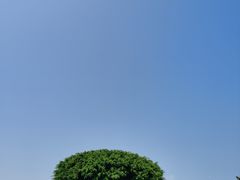 -万绿园
