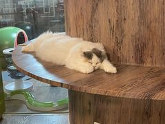 -宠物世家(仲盛世界商城店)