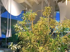 -渔语鱼酸菜鱼新川菜(来福士店)