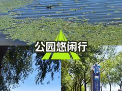 -丁香湖公园