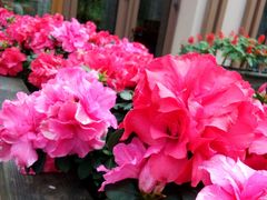 -黔蘑菇四季餐厅(观山湖店)