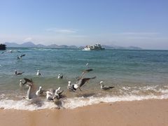 -海驴岛(荣成市)