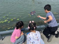 -澹台湖公园