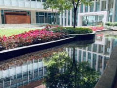 -香港大学