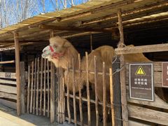 -呀路古热带植物园