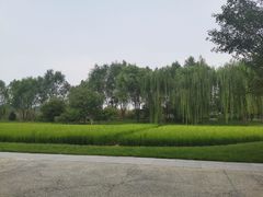 -北坞公园