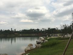 -白鹭湾湿地公园